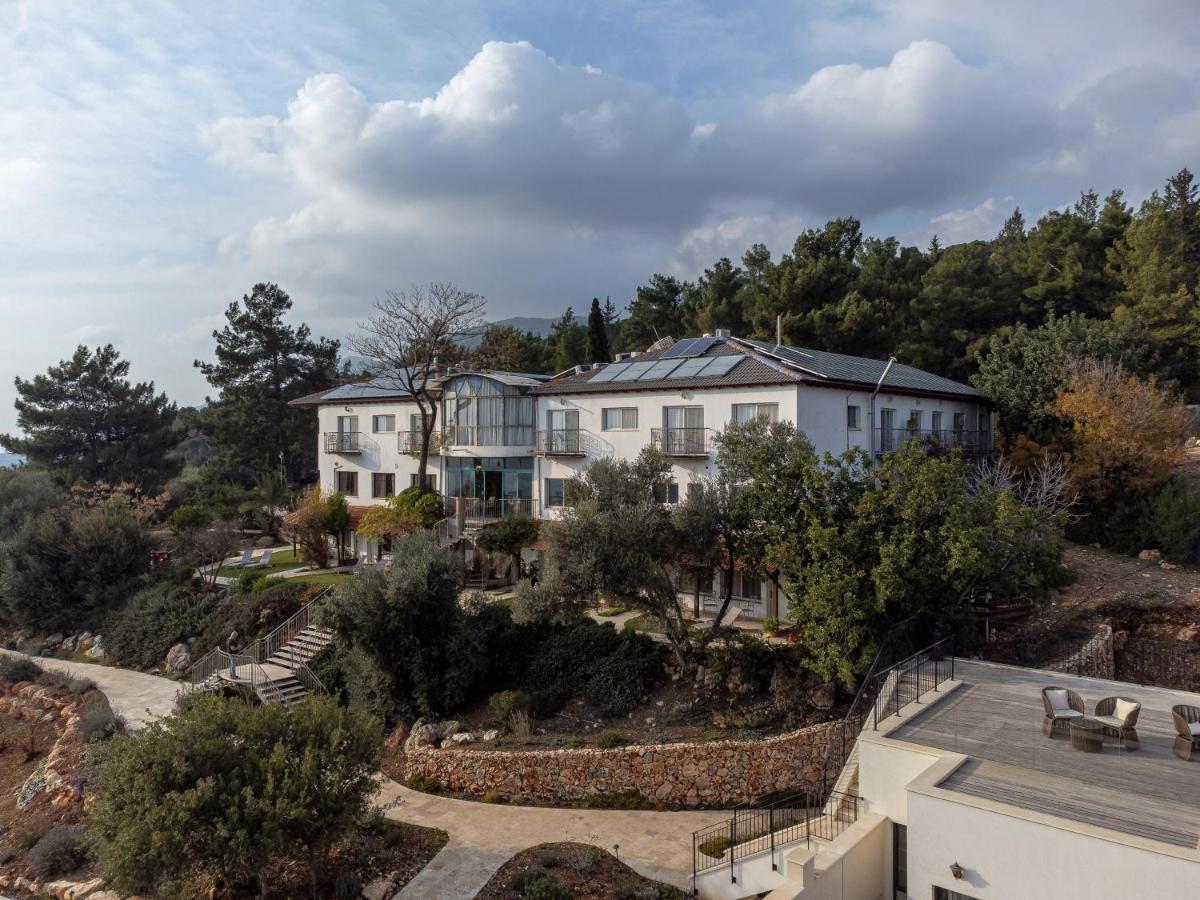 Amirey Hagalil Boutique Hotel 아미림 외부 사진