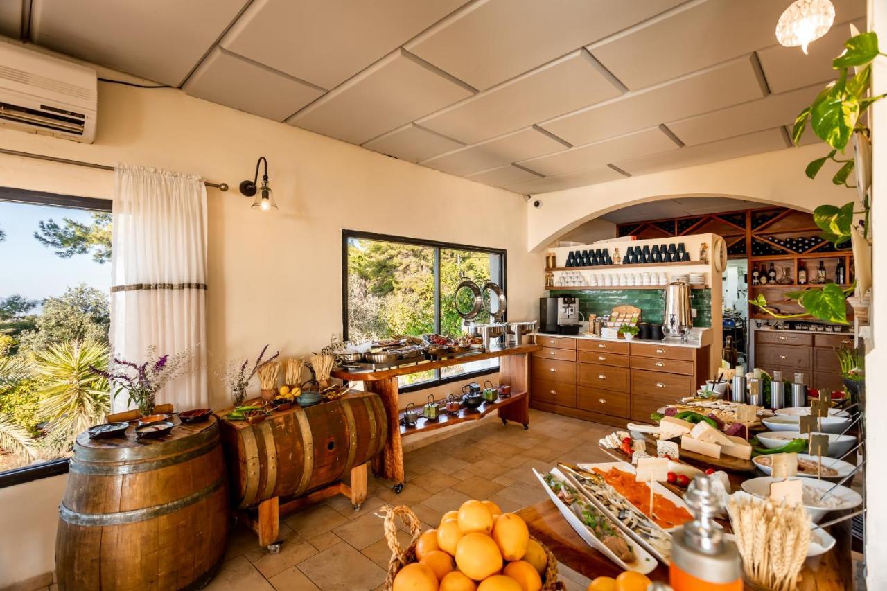 Amirey Hagalil Boutique Hotel 아미림 외부 사진