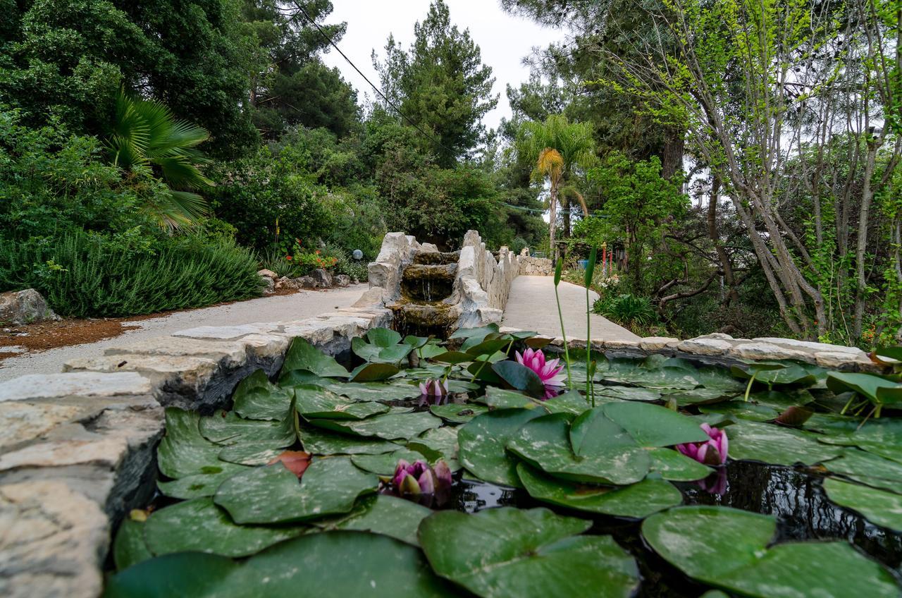 Amirey Hagalil Boutique Hotel 아미림 외부 사진